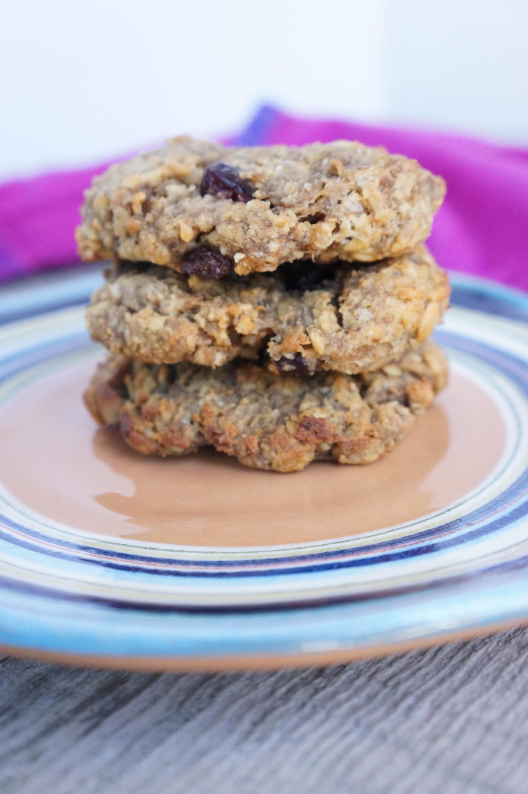 Gluten Free Dairy Free Oatmeal Chocolate Chip Cookie recipe
