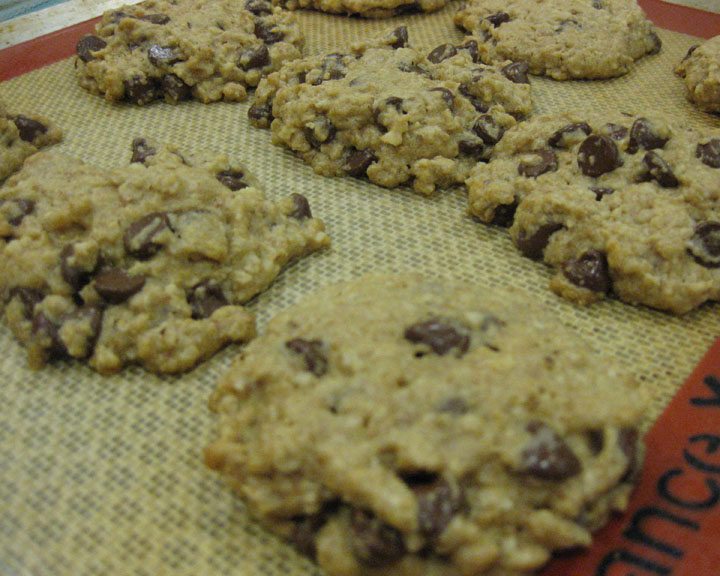 Gluten Free Dairy Free Oatmeal Chocolate Chip Cookie recipe